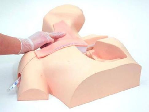 CVC Insertion Simulator II