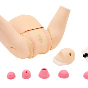 Cervical Assessment Simulator