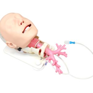 Difficult Airway Management Simulator - Bronchoscopy