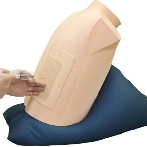 Ultrasound-Guided Thoracentesis/Pericardiocentesis Simulator