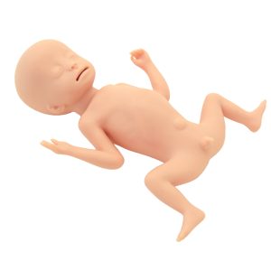 ELBW Infant Simulator