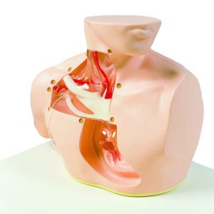 TPN Patient Care Training Model