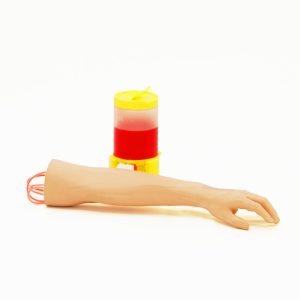 Peripheral Venous Catheter Placement Simulator