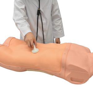Abdominal Assessment Simulator (with Auscultation)