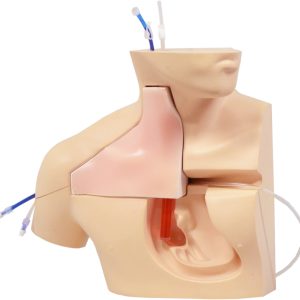 CVC Insertion Simulator III