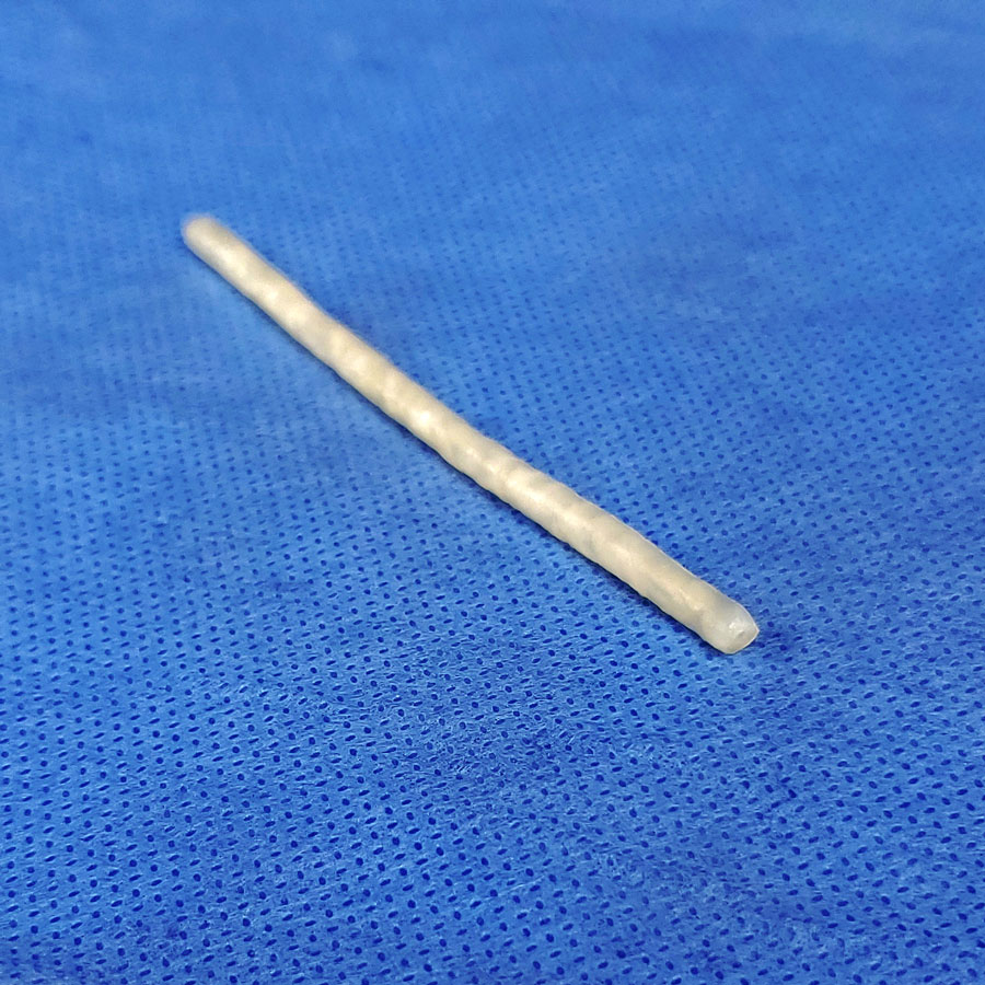 Double Layer Vas Deferens