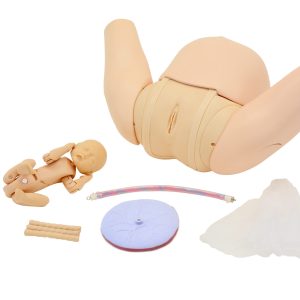 Vaginal Delivery Assistance Simulator