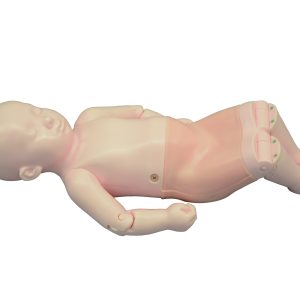 Infant Hip Sonography Training Phantom