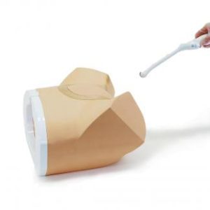 Female Pelvic Ultrasound Phantom