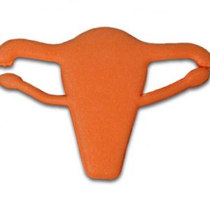 Foam Uterus