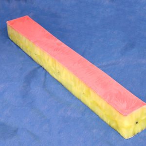 Embedded Great Saphenous Vein Model