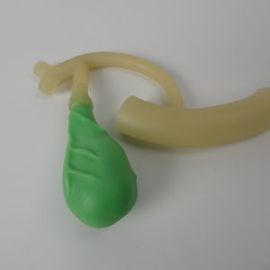 LCBDE Gallbladder