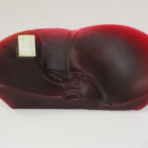 Liver