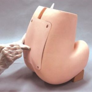 Lumbar Puncture Simulator II