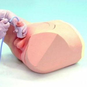 Catheterization / Enema Simulator - Male