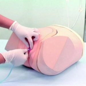 Catheterization / Enema Simulator - Female