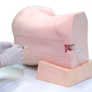 Epidural Anesthesia Simulator