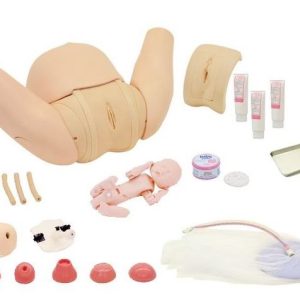 Obstetric Training Simulator - Complete Set