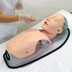 Tube Feeding Simulator (NG, OG, PEG)