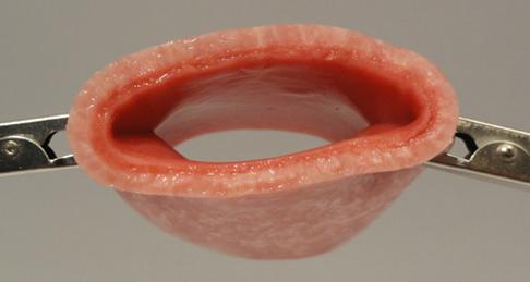 Vaginal Cuff 2" Wet