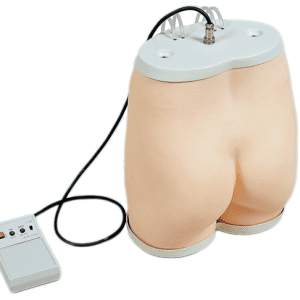 Gluteus Maximus Injection Simulator