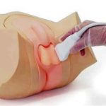 Ultrasound Scrotal Phantom - Image 2