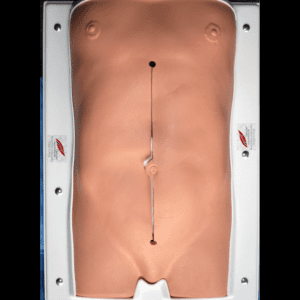 Abdomen Model