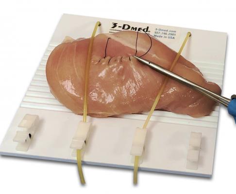 Tissue-Mounting-Board-suture.jpg