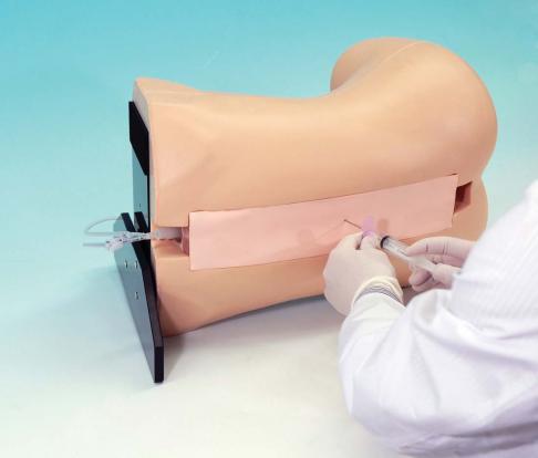 Epidural Anesthesia Simulator - Image 4