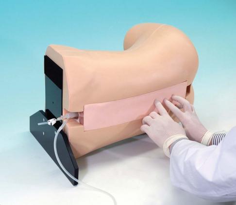 Epidural Anesthesia Simulator - Image 2