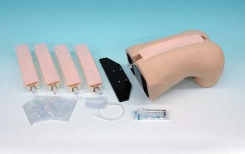 Epidural Anesthesia Simulator - Image 3