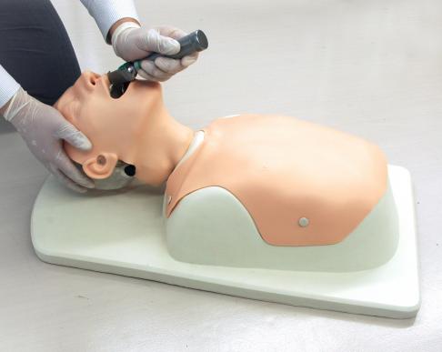 Difficult Airway Management Simulator - Image 2