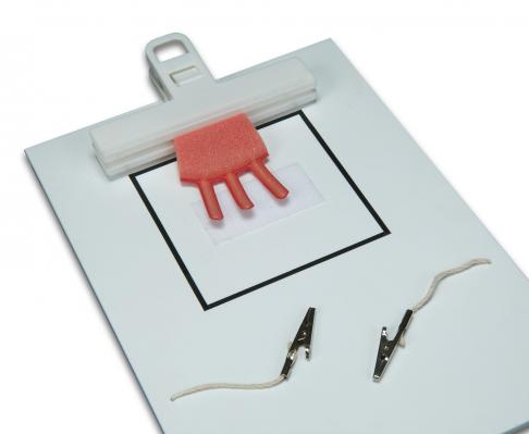 Practice Board for FLS™ Skills - Image 4