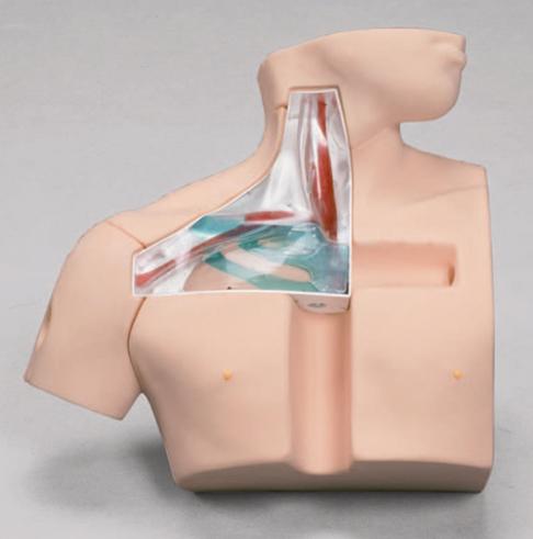 CVC Insertion Simulator II - Image 3