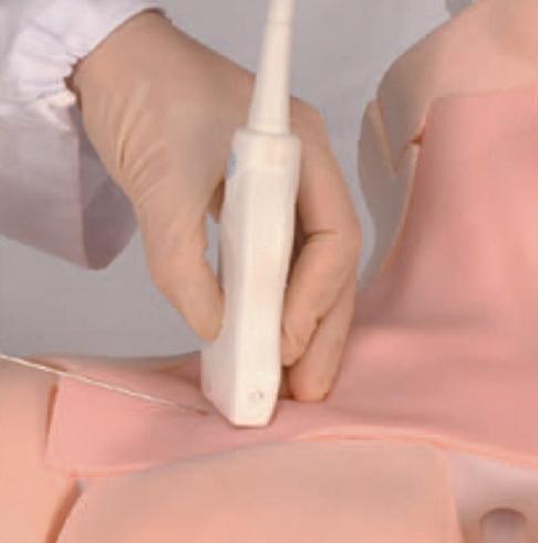 CVC Insertion Simulator II - Image 4