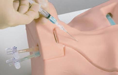 CVC Insertion Simulator II - Image 5
