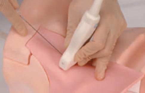 CVC Insertion Simulator II - Image 6