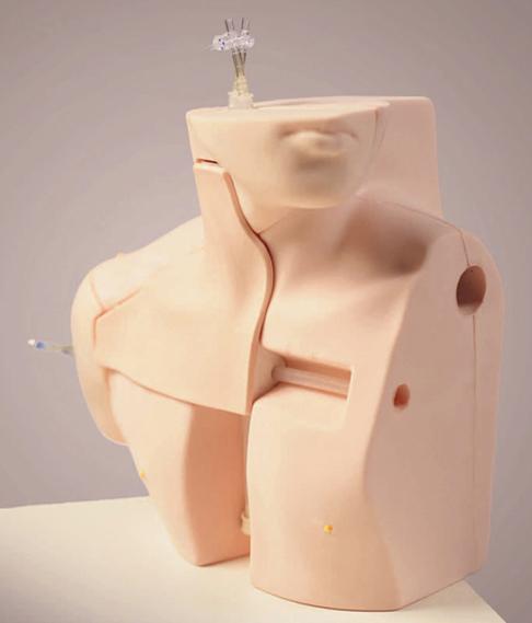 CVC Insertion Simulator II - Image 2