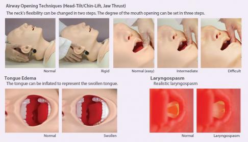 Difficult Airway Management Simulator - Image 4